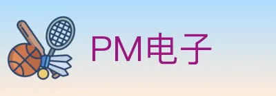PM电子 logo